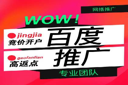 SEM服务公司助力企业流量增长案例